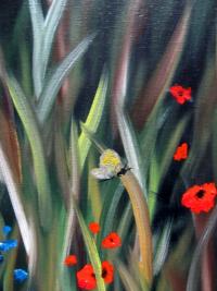 Poppies and Grasses