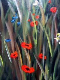 Poppies and Grasses