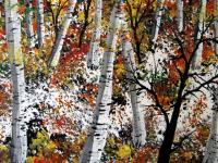 Forest Fire