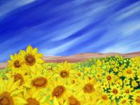 Sunshine Day