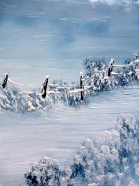 Serenity In Blue