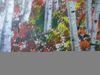 Autumn Birches