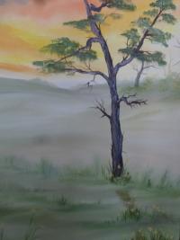 A New Dawn