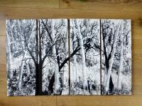 Birches Quartet