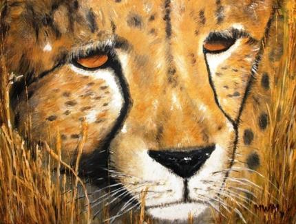 Cheetah