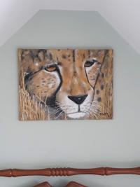 Cheetah