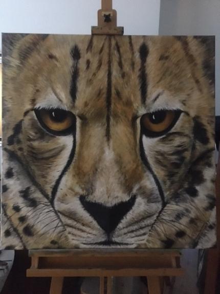 Cheetah