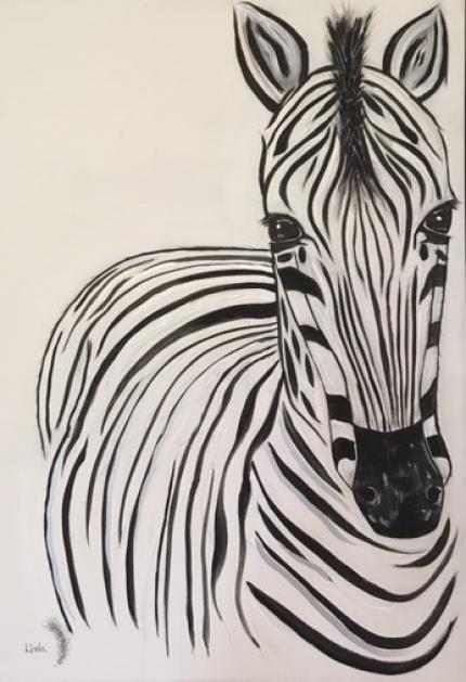 Maasai Mara Zebra
