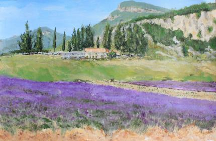 Lavender Fields