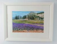 Lavender Fields