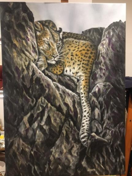 Leopard On The Rocks