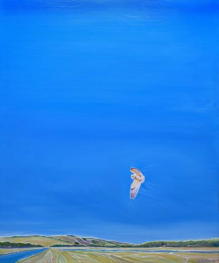 Cuckmere Haven Landscape with Owl