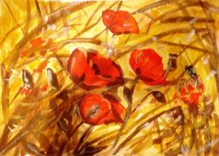 Poppy Field