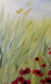 Field Of Poppies